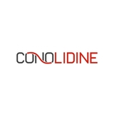 Conolidine Blogs